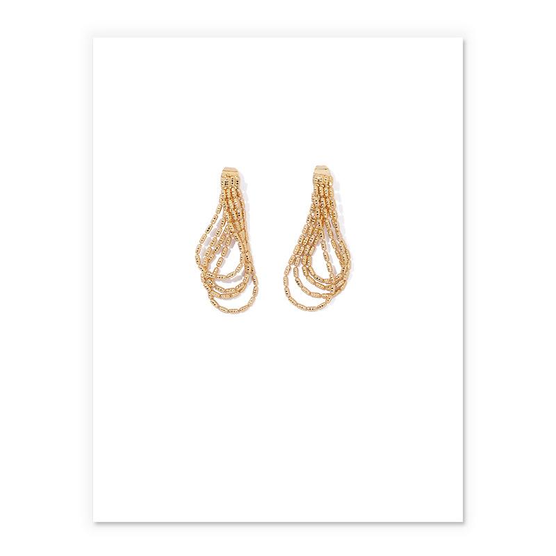 Tassel Drop Earrings In Gold