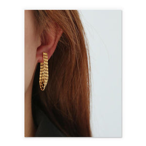 Tassel Drop Earrings In Gold